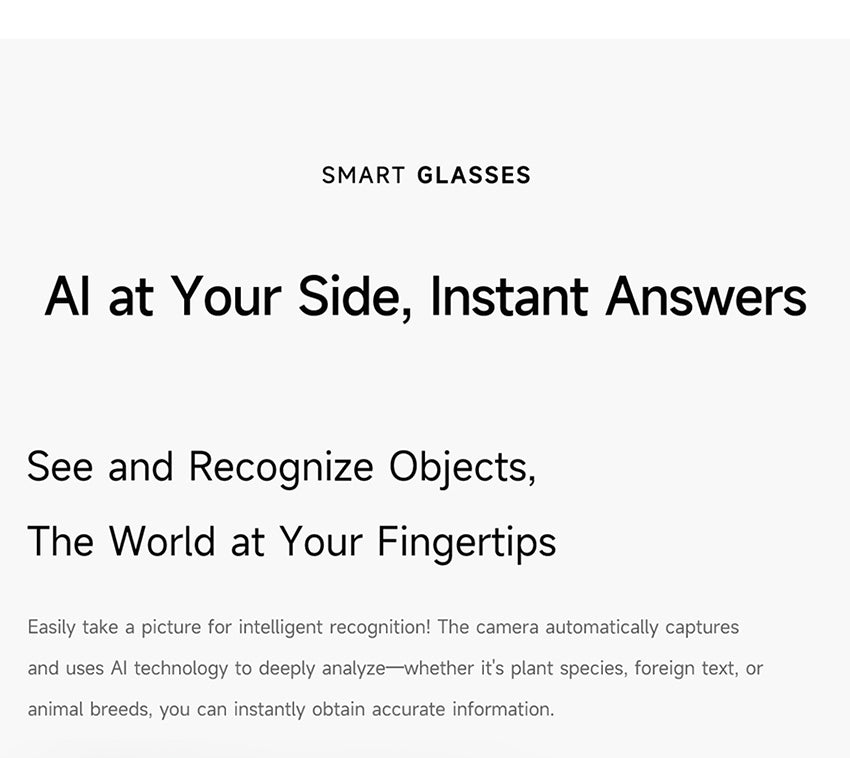 AI smart glasses